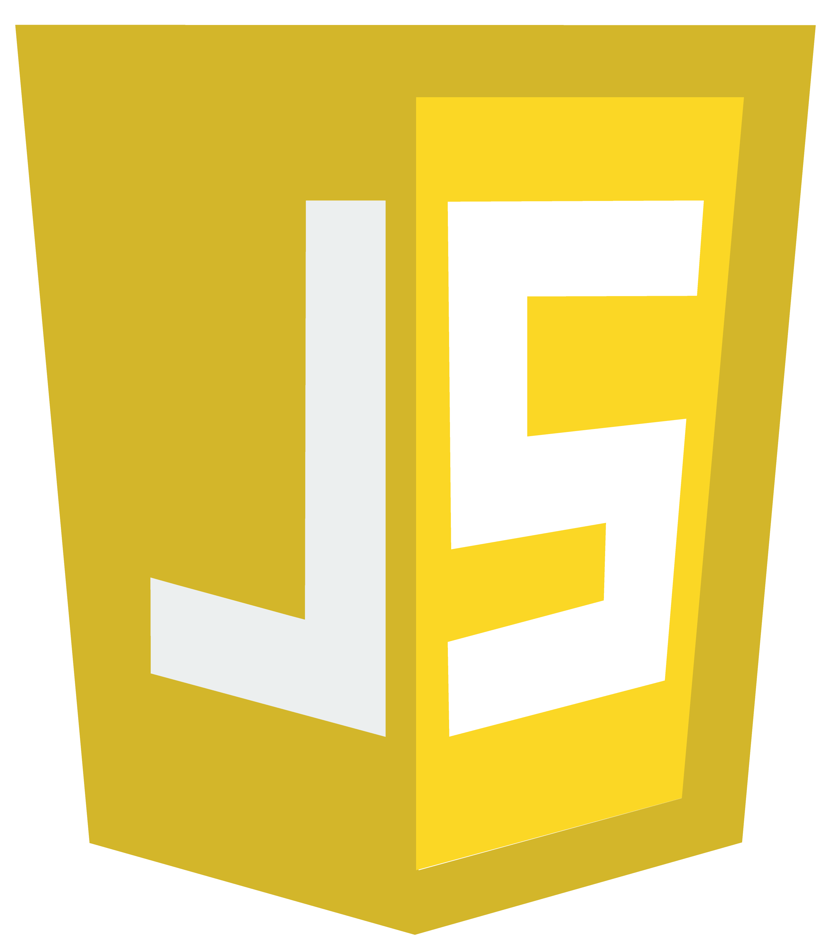 JavaScript